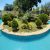 باغ ویلای 1000 متری استخردار در محمدشهر - تصویر2
