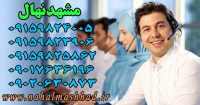 فروش ارقام مختلف نهال میوه و انگور