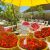 فروش 400 متر باغ ویلای لوکس در ملارد ویلای جنوبی - تصویر2