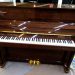 پیانو دیجیتال رولند برند fp30 i اصل آرگون 541