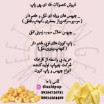 08155fe1-5e3b-4cd3-94da-98405bc89ed1