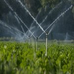 شرکت رتبه 5 آب و کشاورزی سهامی خاص