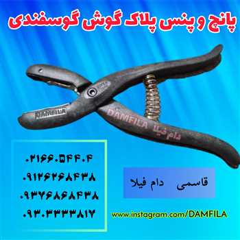 53858-3c67fd23c930466c978062194b23d6c2