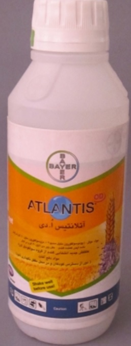 atlantis
