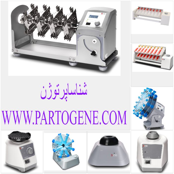 my_photo_collage-25