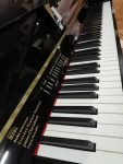 اورجینال دیجیتال طرح آکوستیک رولند پیانو