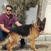 سگ ژرمن شپرد – خرید و فروش سگ ژرمن قیمت توله ژرمن