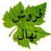 فروش انواع نهال انگور و گل محمدی و سنجد و گردو و به اصفهان و غیره