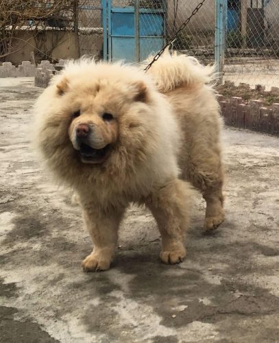 photo_2018-06-16_15-38-06