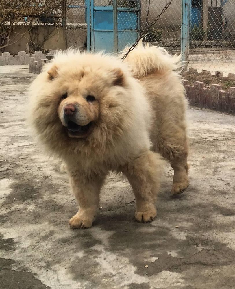 photo_2018-06-16_15-38-06