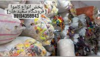 IMG_۲۰۲۲۰۲۱۷_۰۹۴۸۴۸_copy_415x240_copy_416x240