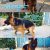 فروش 30 قلاده سگ بالغ ژرمن شپرد  با مناسبترین قیمت - تصویر1