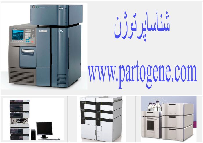 my_photo_collage-67(2)