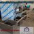 ■ فروش ویژه خط کامل شستشو و خرد کن، خشک کن سبزی خام و پخته ■ - تصویر1