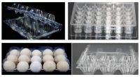 تولید شانه تخم مرغ پلاستیکی PET