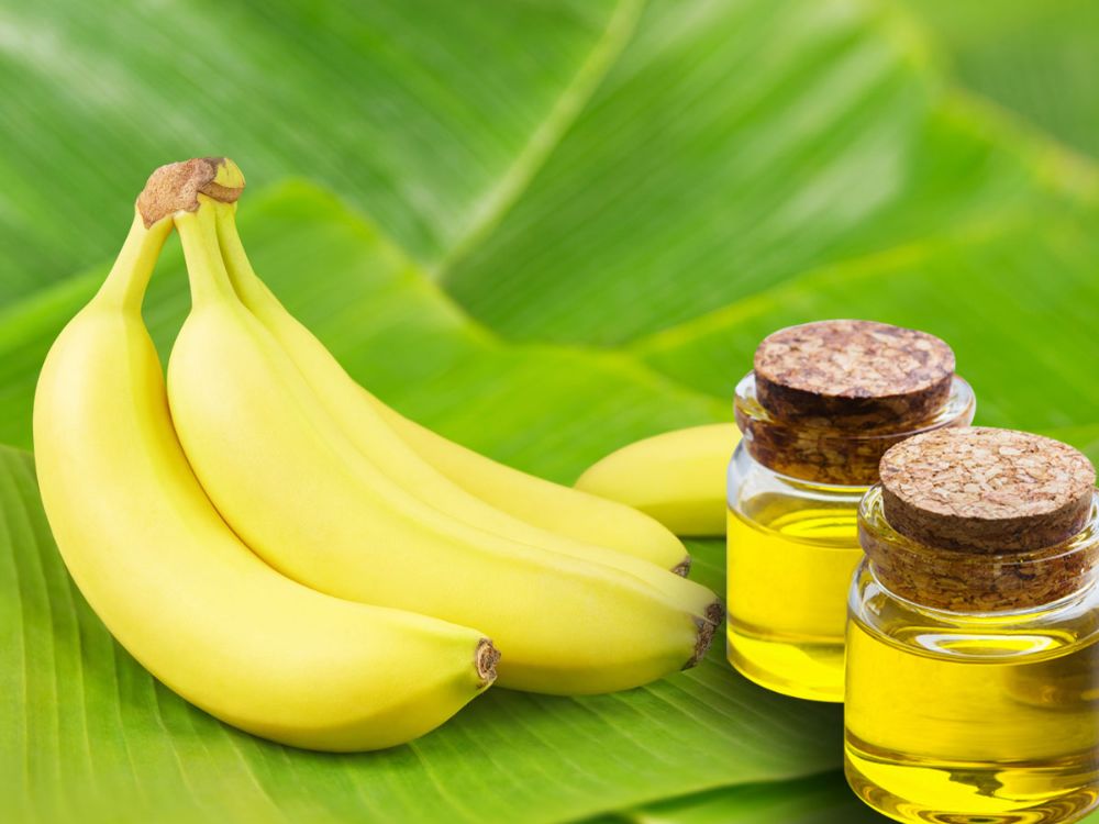 دارویی موز