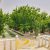 550 متر باغ ویلا در ابراهیم آباد شهریار - تصویر1