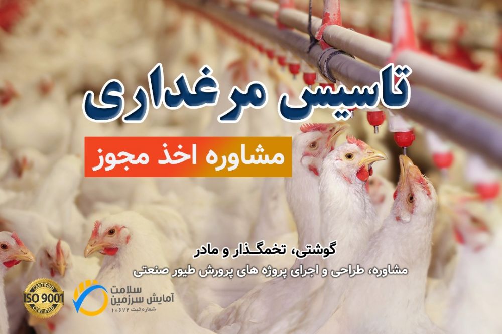 مرغداری