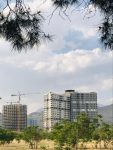 IMG-20220507-WA0008