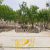480 متر باغ ویلا نوساز در مهرچین ملارد - تصویر1