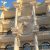نمای رومی و کلاسیک اراد - تصویر2