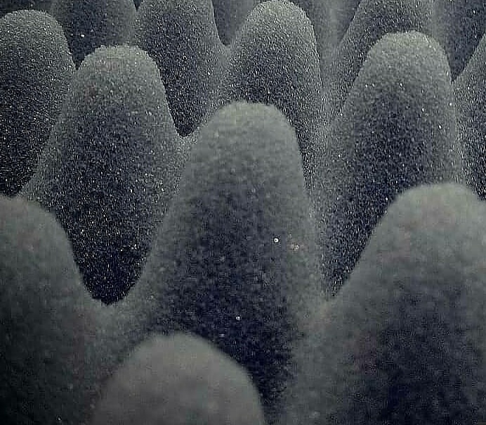 20220626_103414