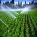 فروش رتبه 5 آب و کشاورزی سهامی خاص