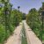 1000 متر باغ ویلا در کهنز شهریار - تصویر1