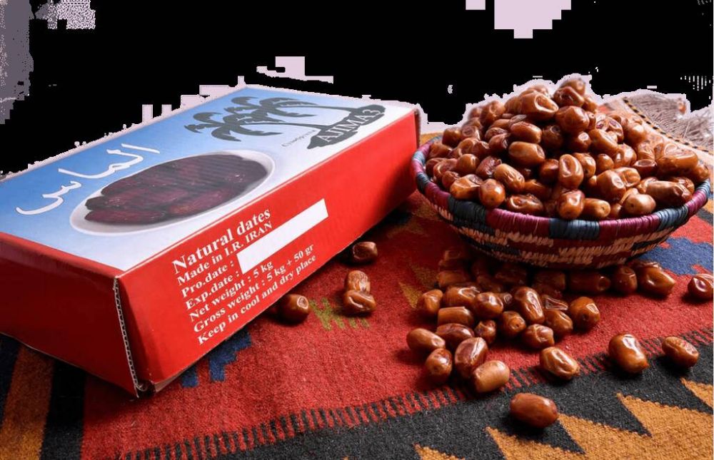 te-company-Zahedi-date-palm-4-2-1-min-1024x660