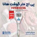 -اچ-متر-گوشت-قلمی-هانا-HANNA-HI981036