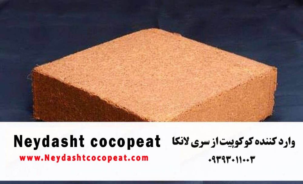 WhatsApp Image 2022-06-28 at 6.32.54 PM