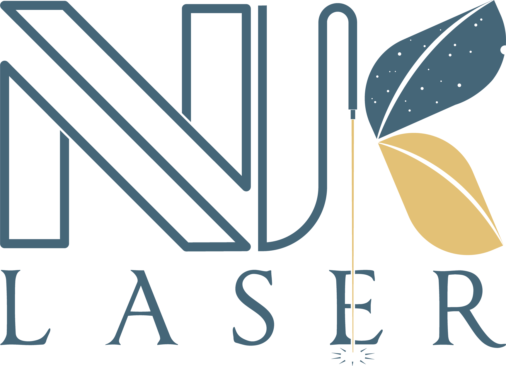 Niklaser-Logo