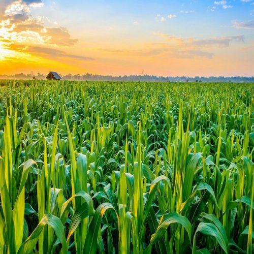 agricultural-tourism