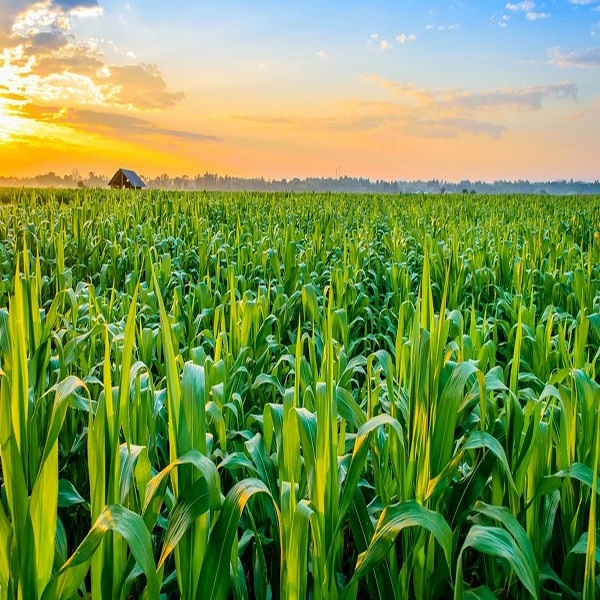 agricultural-tourism