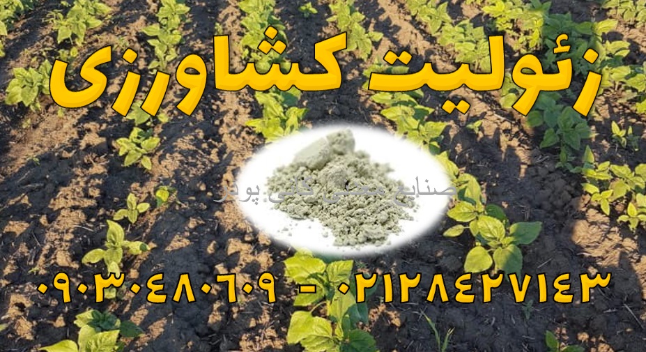 کشاورزی