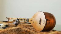 cittern learning (4)