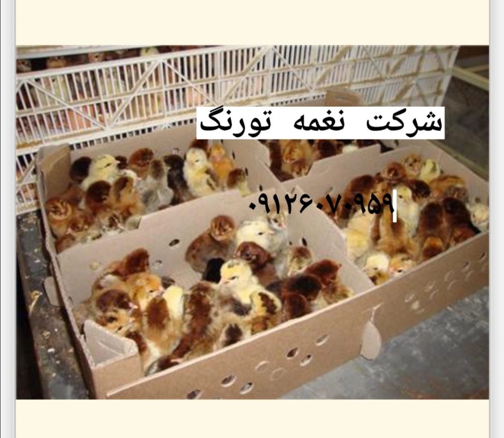 IMG_20220803_111231