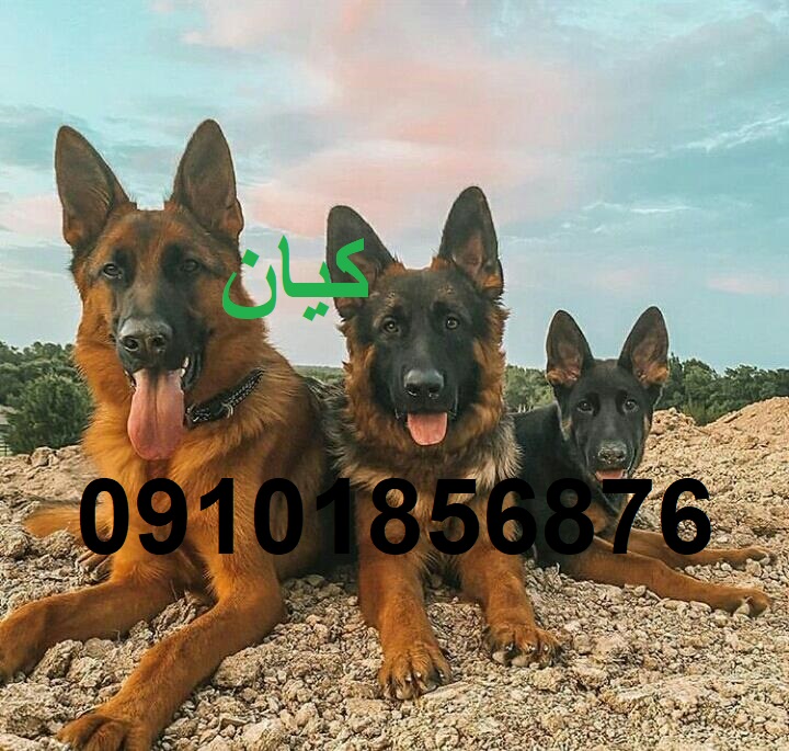 2b44b5d5-507a-4030-9e4f-05e46b5bc0f5