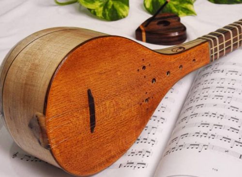 cittern learning (3)