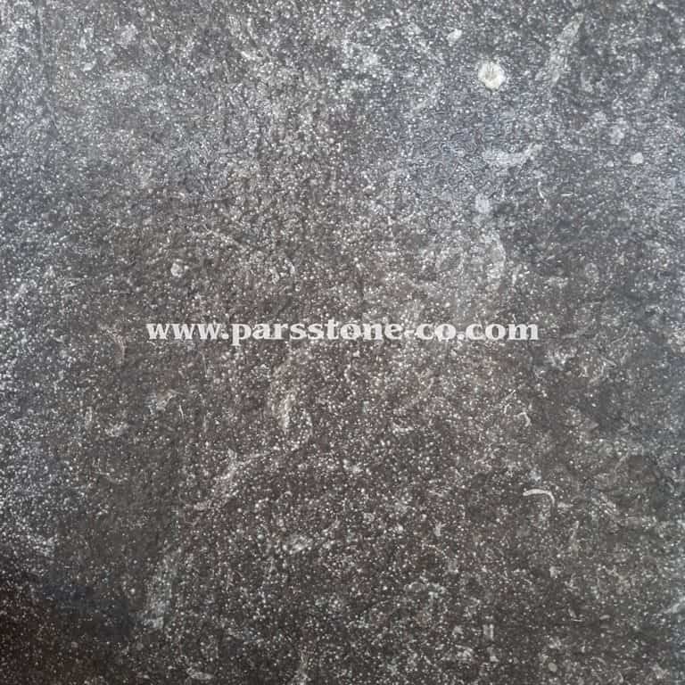 9995566-Copy-3