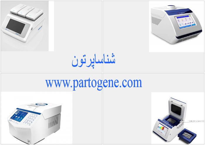 سایکلر