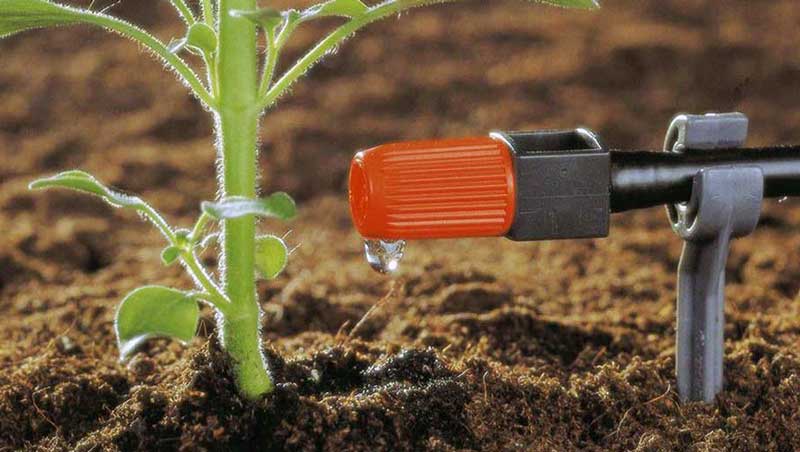 -آبیاری-قطره-ای-چیست
