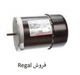 تامین کننده انواع محصولات کوپلینگ نمایندگی Regal