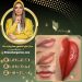 قیمت رژ لب دائم در مرکز غزل زرگریان