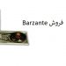 عامل فروش سوییچ صنعتی نمایندگی Barzante در ایران