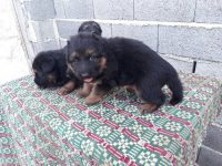 IMG-20191106-WA0022