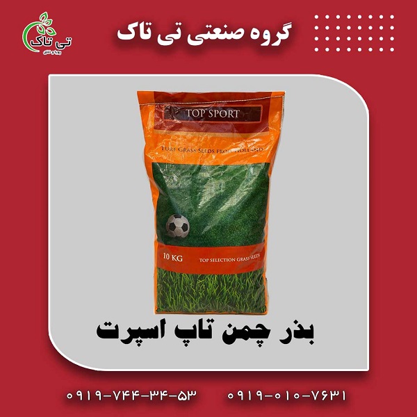 -تاپ-اسپرت-هلندی