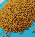 خرید و فروش انواع بذر یونجه در تبریز