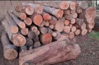خریدار چوب باغی با بهترین قیمت