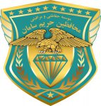 954205-570x600
